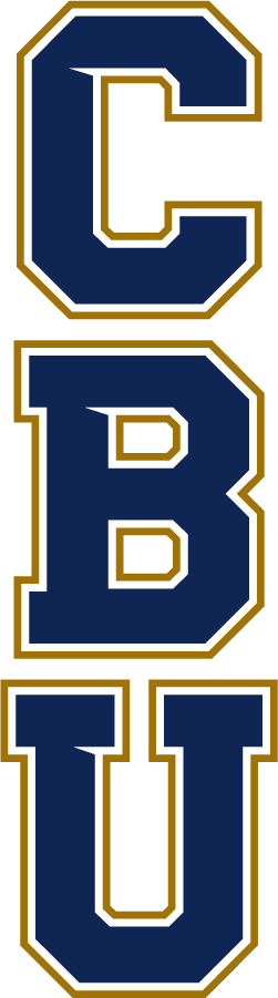 California Baptist Lancers 2017-Pres Wordmark Logo v3 DIY iron on transfer (heat transfer)